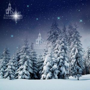 tło do szopki bożonarodzeniowej z motywami Betlejem, aniołów i gwiazd — elegancka, trwała dekoracja podkreślająca duchowy wymiar Świąt.