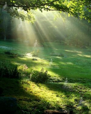 Tło do Grobu Pana Jezusa nr 47