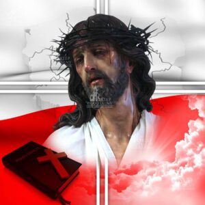 Baner do ciemnicy nr 41