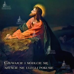 Baner do ciemnicy nr 9