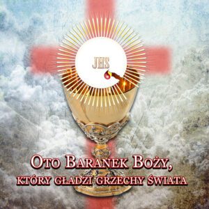 Tło do ciemnicy 150x200 cm baner premium – wzór nr 29: Oblicze Chrystusa w koronie cierniowej, czerwone tło, napis "Czy rozumiecie co wam uczyniłem?".